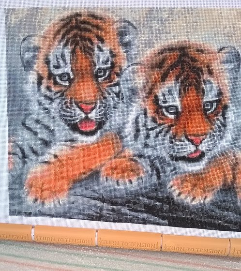 Этап процесса «Тигрята»