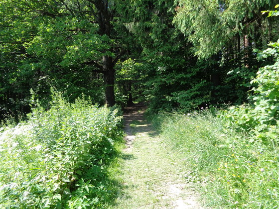 Этап процесса «№4095»