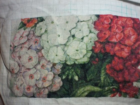 Этап процесса «Флоксы»