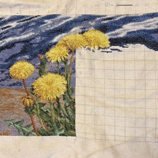 Процесс «Одуванчики у воды»