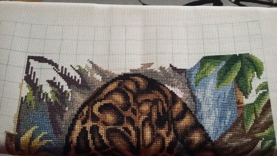 Этап процесса «Дымчатый леопард»