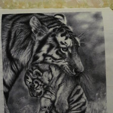 Процесс «тигры»