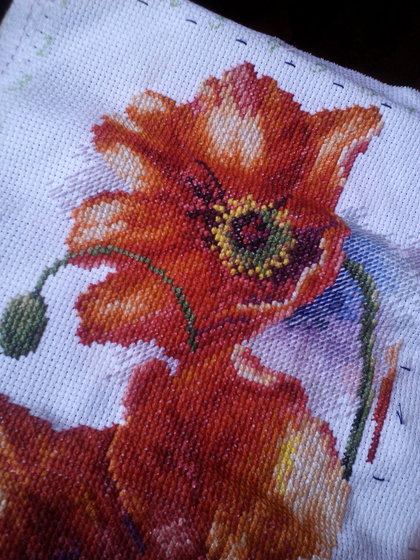 Этап процесса «Акварельные Маки (Lovely Poppys)»