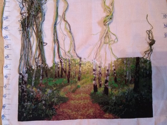 Этап процесса «Березовая роща.»