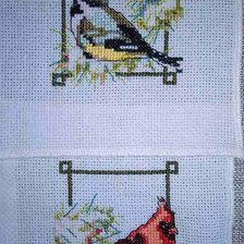 Процесс «Пинкипы « птички»»