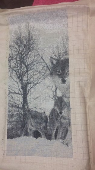 Этап процесса «Семейка волки»