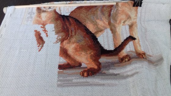 Этап процесса «АБИССИНКИ ОТ РИОЛИС»