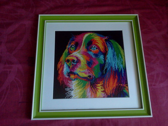 Этап процесса «Радужный пес»