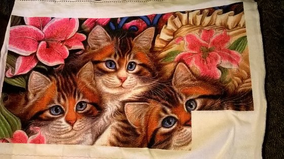 Этап процесса «Три пушистых котёнка»