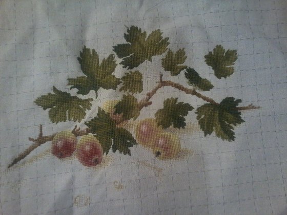 Этап процесса «Крыжовник от Екатерины Волковой»