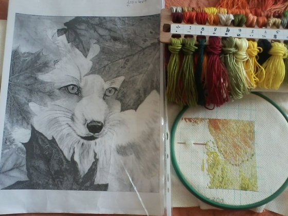 Этап процесса «Лисичка»