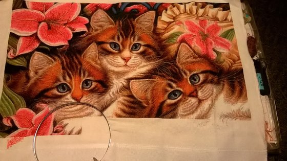 Этап процесса «Три пушистых котёнка»