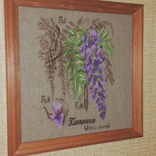 Процесс «Серия Ботаника. Глициния.»