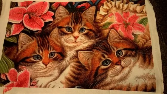 Этап процесса «Три пушистых котёнка»