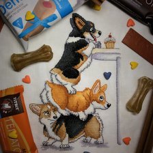 Процесс «Корги веселые и находчивые (КВН). Часть 1.»