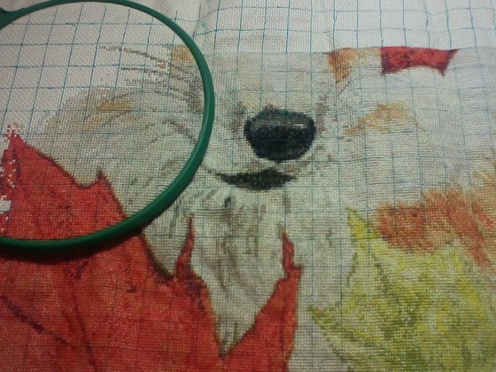 Этап процесса «Лисичка»