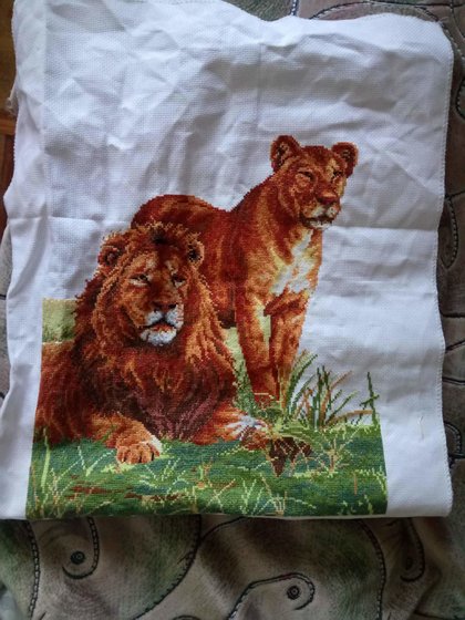 Этап процесса «Leo»