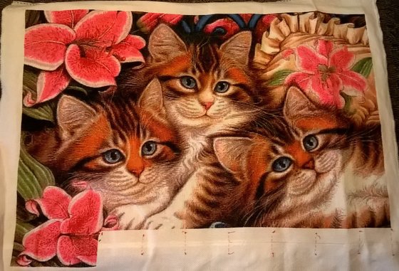 Этап процесса «Три пушистых котёнка»