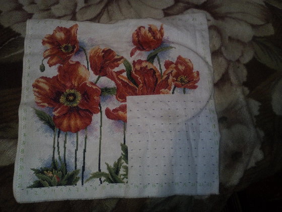 Этап процесса «Акварельные Маки (Lovely Poppys)»