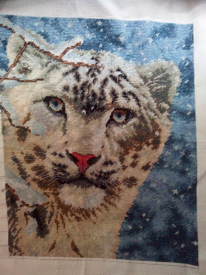 Этап процесса «снежный  гепард»