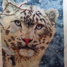 Процесс «снежный  гепард»