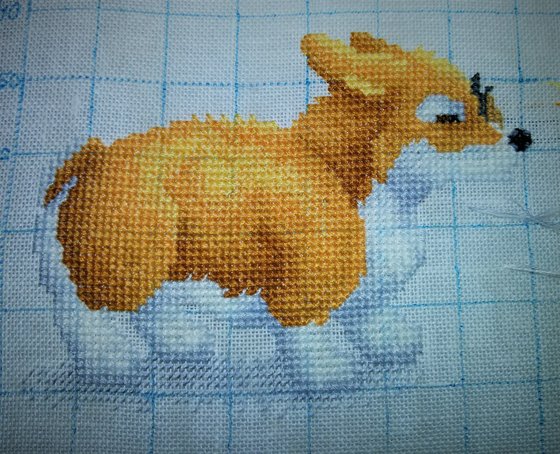 Этап процесса «Корги веселые и находчивые. Продолжение (КВН-2).»