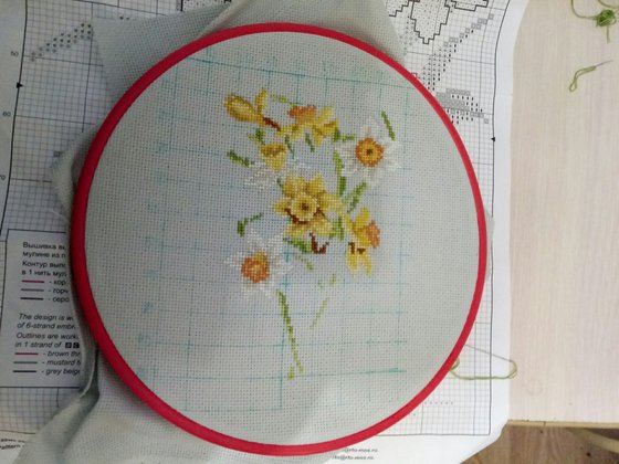 Этап процесса «Нарциссы»