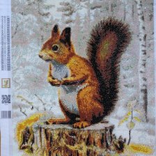 Процесс «Белочка на пне»