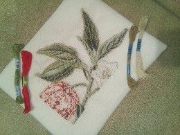 Этап процесса «Физалис»