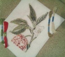 Процесс «Физалис»