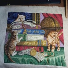 Процесс «котята»