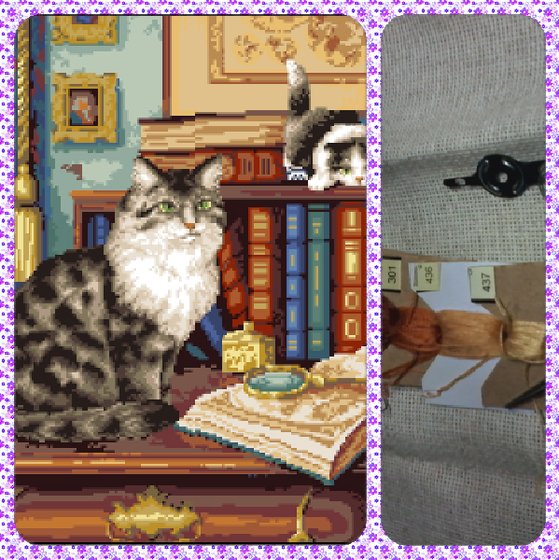 Этап процесса «котята2»