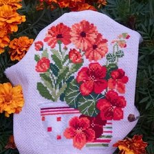 Процесс «Нагідки і Настурціїї Ріоліс»