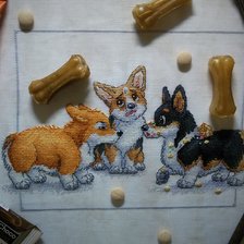 Процесс «Корги веселые и находчивые. Продолжение (КВН-2).»