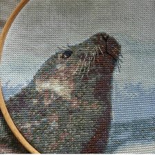 Процесс «Тюлень № 3»