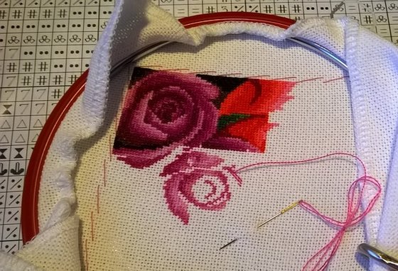 Этап процесса «Цветные розы»