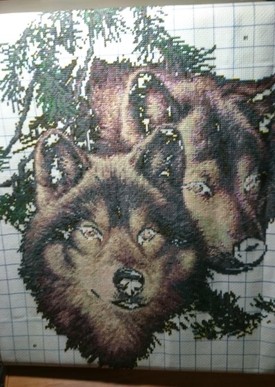 Этап процесса «Волки»