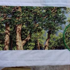 Процесс «Дубовая роща»