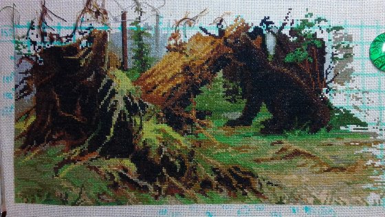 Этап процесса «Утро в сосновом бору - от Luca-S»