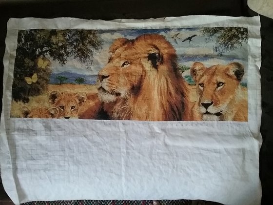 Этап процесса «Львиное семейство»