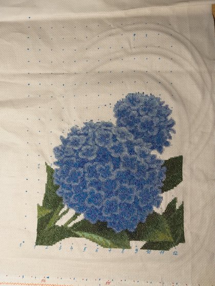 Этап процесса «Гортензии»