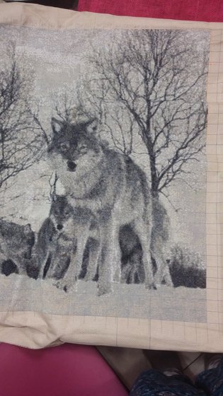 Этап процесса «Семейка волки»