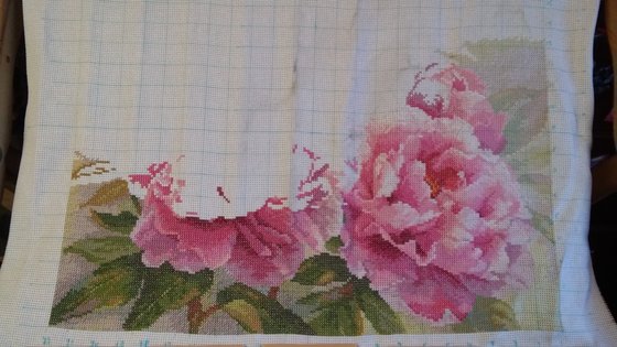 Этап процесса «Пионы от Алисы»