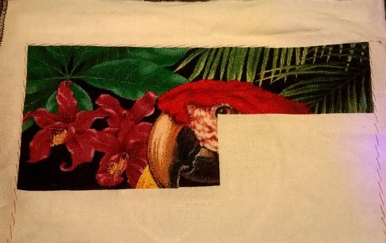 Этап процесса «Попугай Ара»