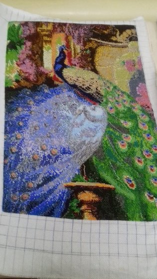 Этап процесса «павлины»