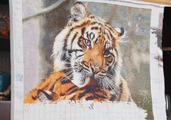 Этап процесса «Тигриная нежность»