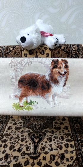 Этап процесса «Шелти»