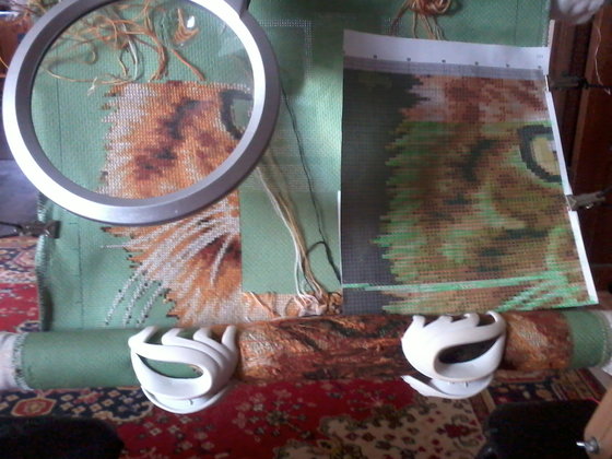 Этап процесса «кот»