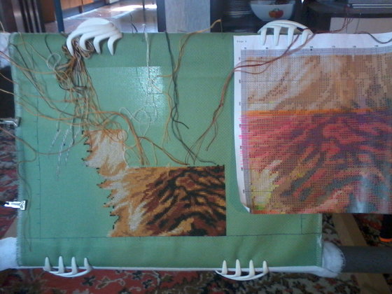 Этап процесса «кот»