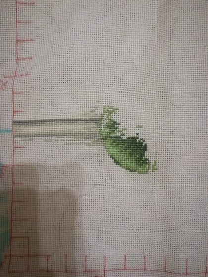 Этап процесса «12 красавиц»